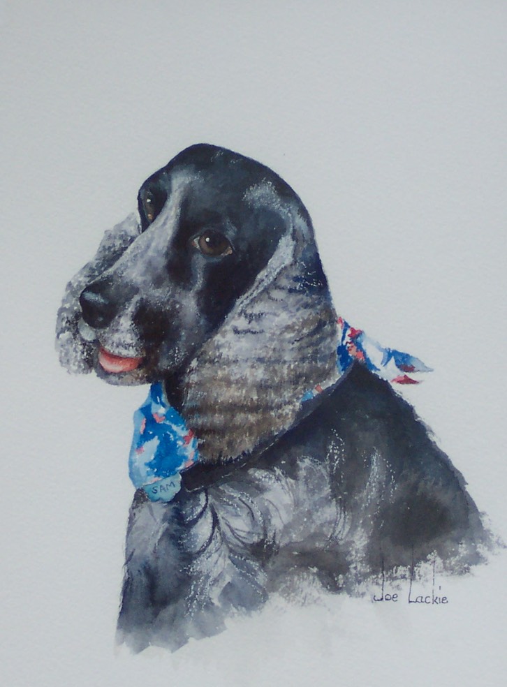 Sam, watercolor by